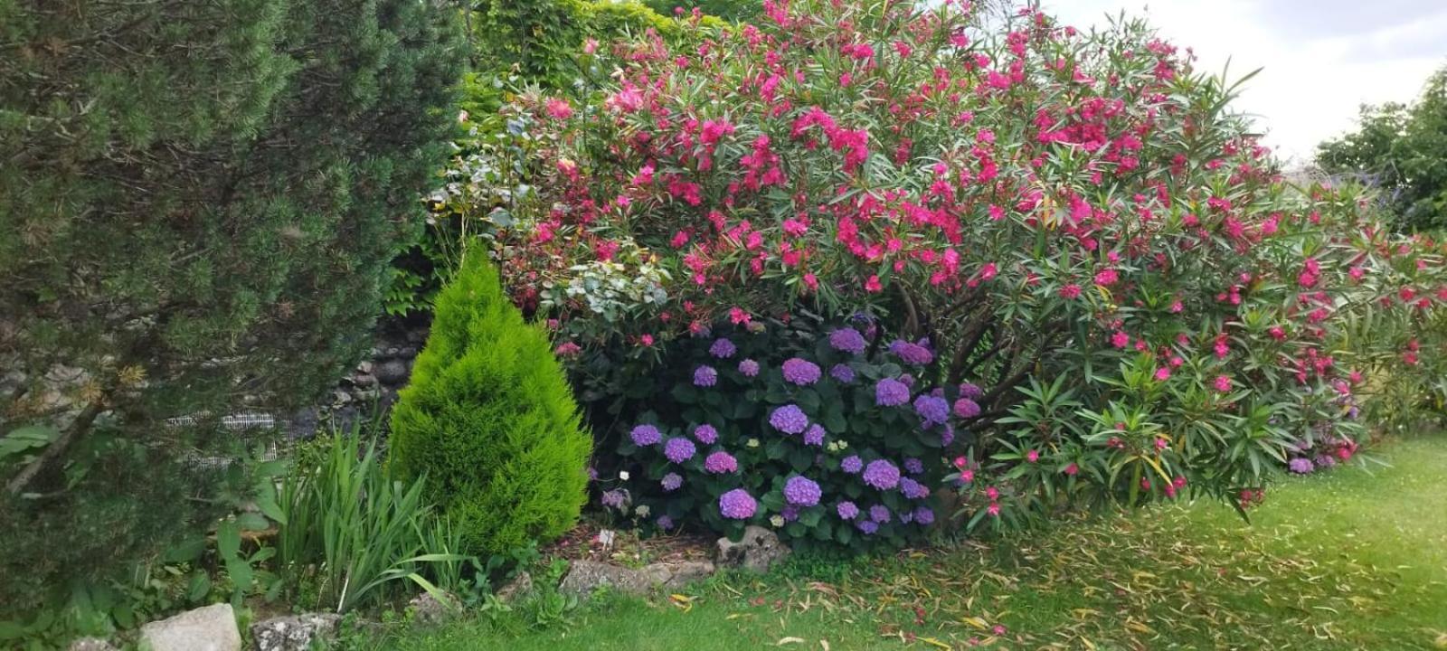 Gite 3 "Le Canal De Baza" Aux Magnolias أوبينا المظهر الخارجي الصورة