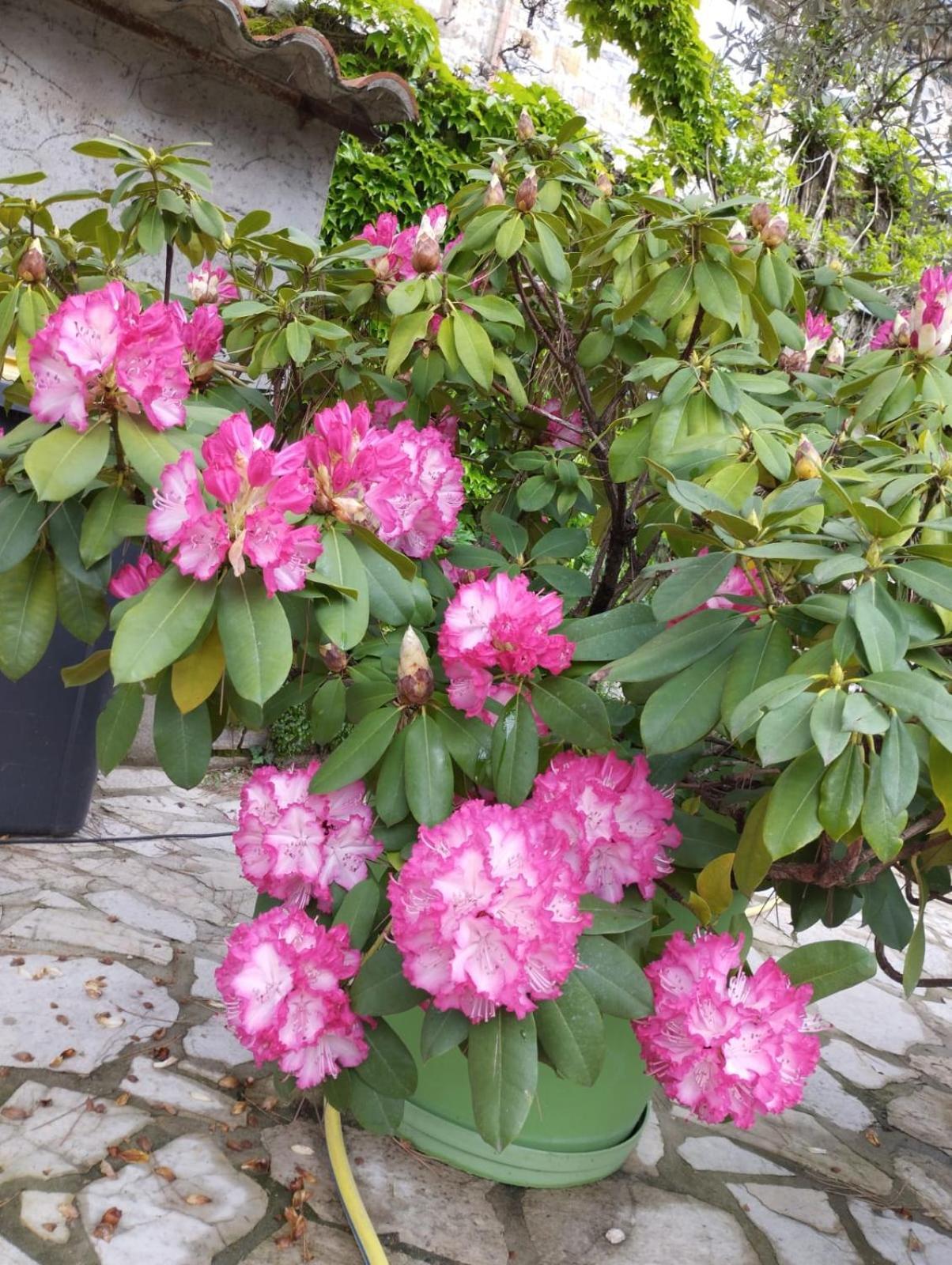 Gite 3 "Le Canal De Baza" Aux Magnolias أوبينا المظهر الخارجي الصورة