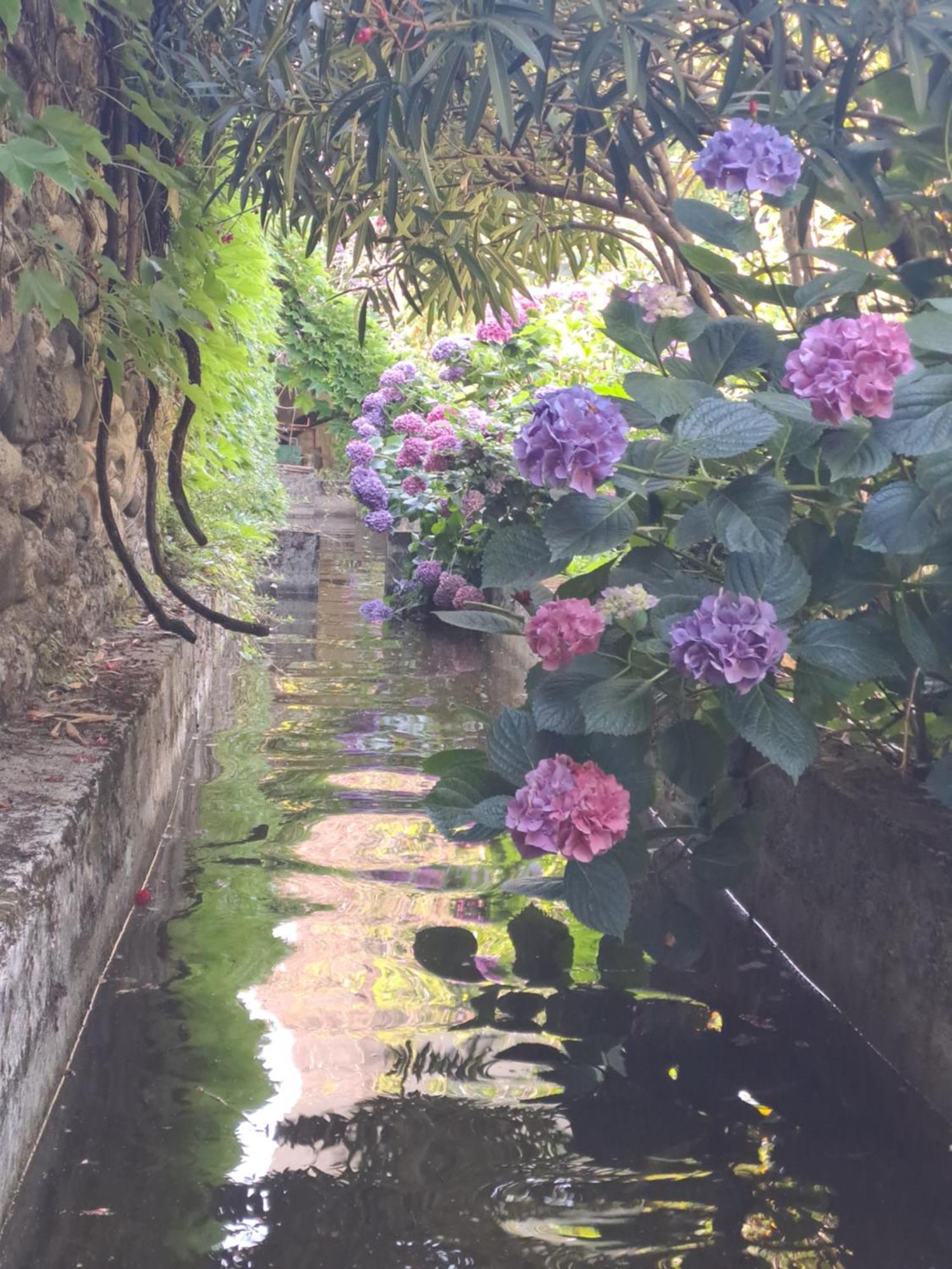 Gite 3 "Le Canal De Baza" Aux Magnolias أوبينا المظهر الخارجي الصورة