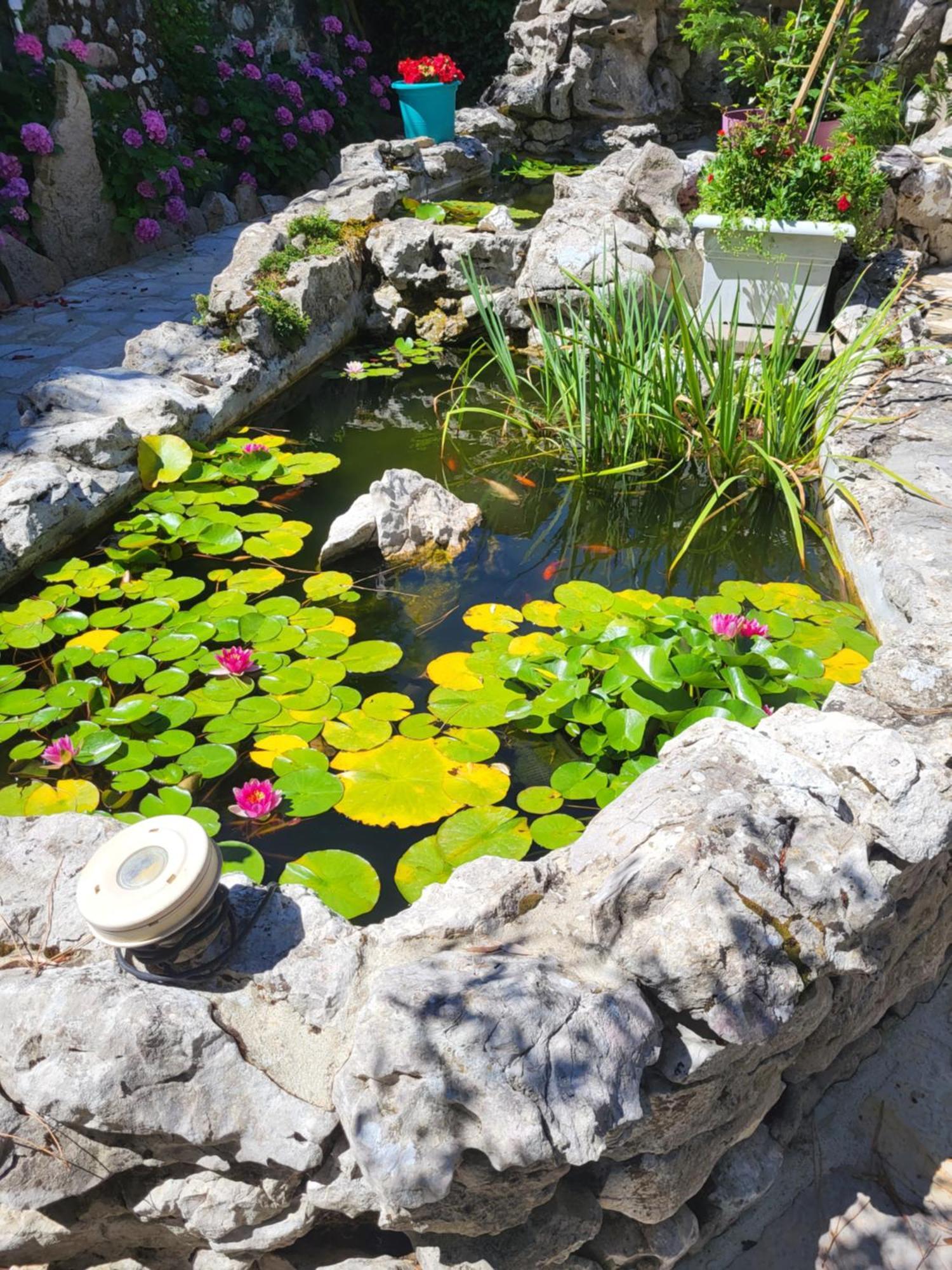 Gite 3 "Le Canal De Baza" Aux Magnolias أوبينا المظهر الخارجي الصورة
