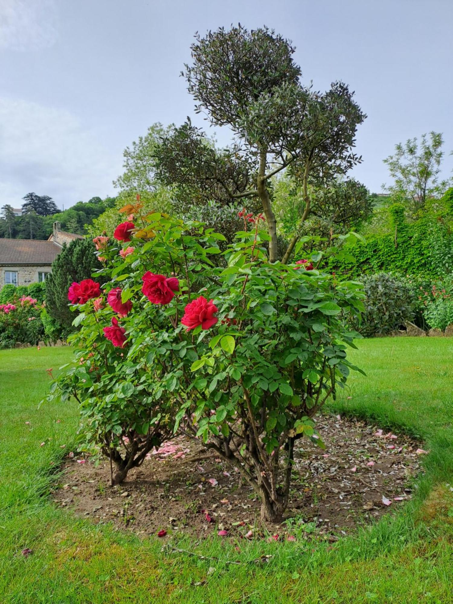 Gite 3 "Le Canal De Baza" Aux Magnolias أوبينا المظهر الخارجي الصورة